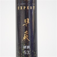 １９エキスパート早蕨硬調５３・Ｖ